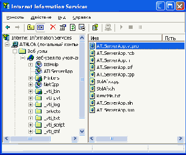   Microsoft.NET?
