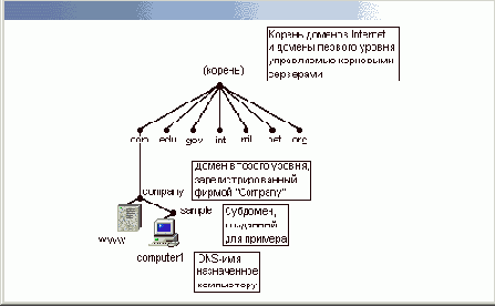 
<b>

DNS
</b>
